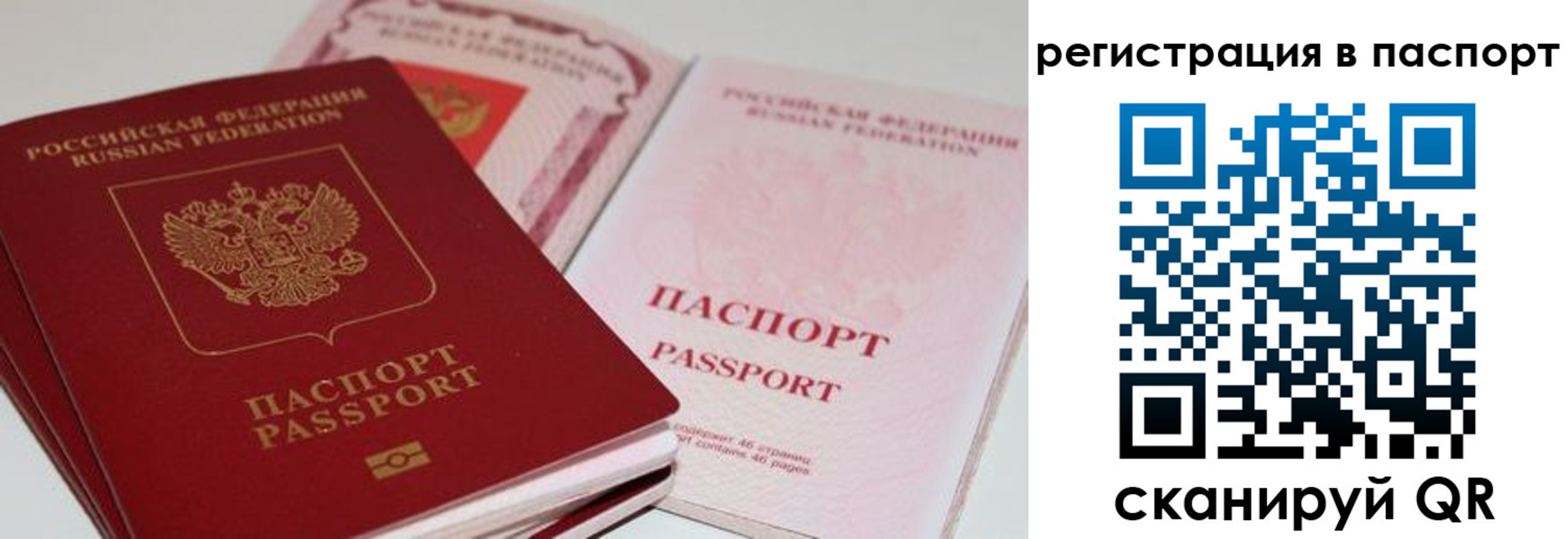 найти адрес прописки в Жуковском